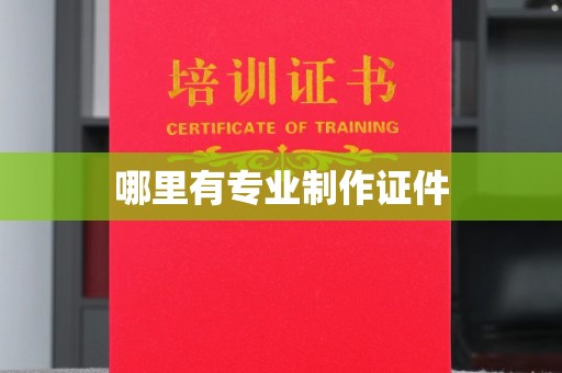 大兴安岭哪里有专业制作证件
