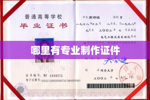 大兴安岭哪里有专业制作证件