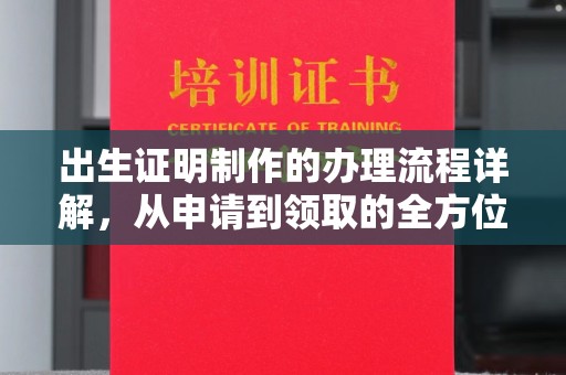 大兴安岭出生证明制作的办理流程详解，从申请到领取的全方位指南